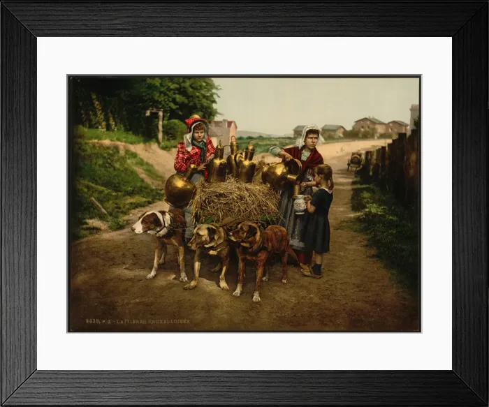 Framed Print : Milksellers, Brussels, Belgium Framed Print : Milksellers, Brussels, Belgium