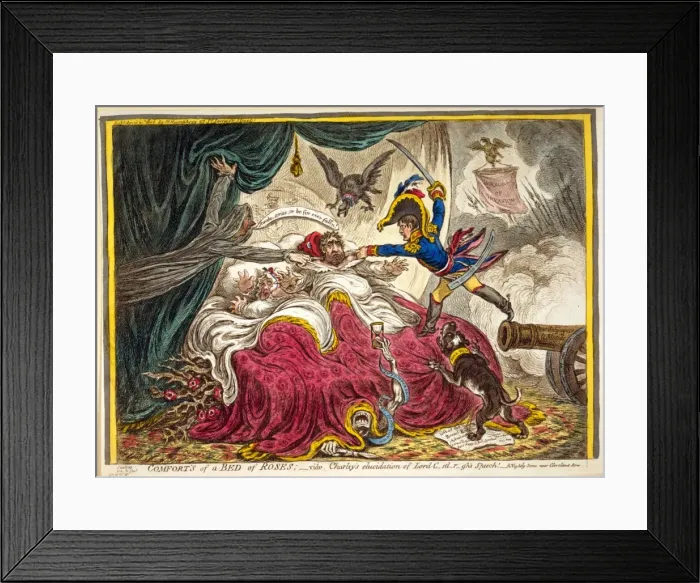 Framed Print : Comfort of a Bed of Roses