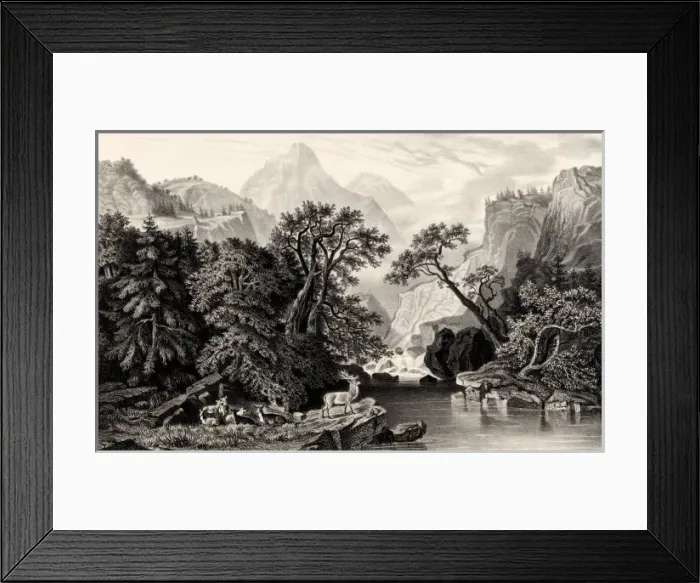 Framed Print : The Home of the Deer Framed Print : The Home of the Deer