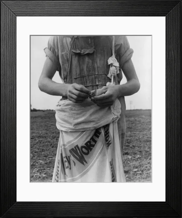 Framed Print : Farm boy with sack full of boll weevils which he has picked Framed Print : Farm boy with sack full of boll weevils which he has picked