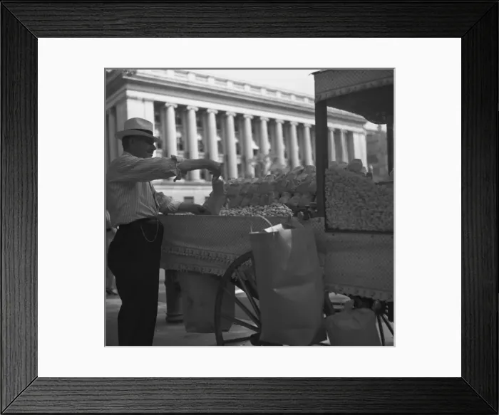 Framed Print : Peanut vendor outside the White House. Washington, D. C Framed Print : Peanut vendor outside the White House. Washington, D. C