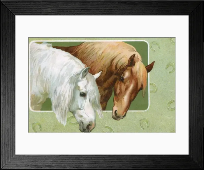 Framed Print : A Grey and a Chesnut horse Framed Print : A Grey and a Chesnut horse
