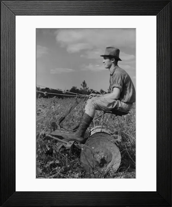 Framed Print : Young resettlement farmer with harrow, Grady County, Georgia Framed Print : Young resettlement farmer with harrow, Grady County, Georgia