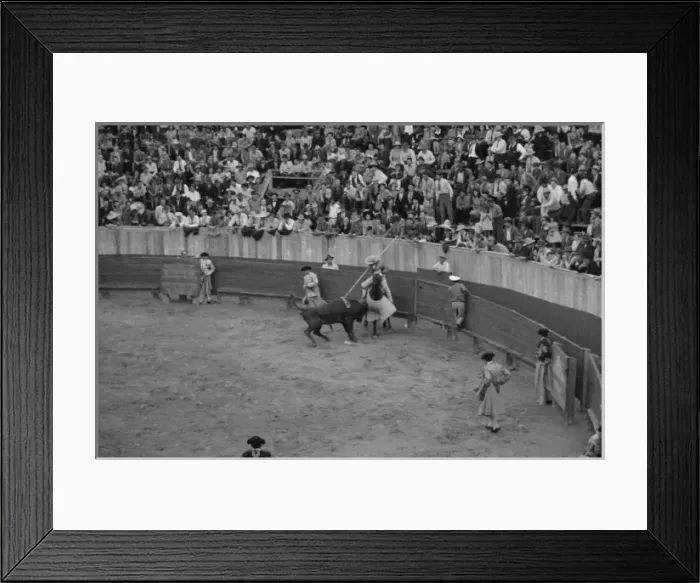 Framed Print : A picador, bullfight, Matomoros, Mexico Framed Print : A picador, bullfight, Matomoros, Mexico