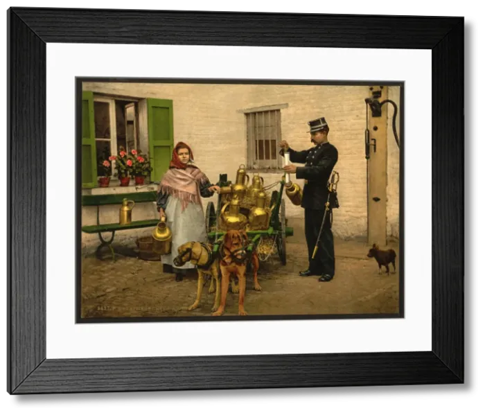 Framed Print : Laitiere Bruxelloise Framed Print : Laitiere Bruxelloise