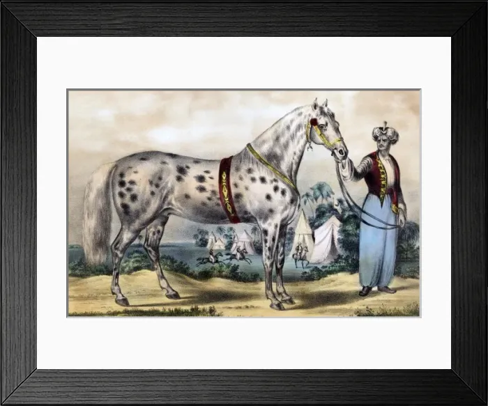 Framed Print : A Correct Likeness of Mr. H. Rockwells Horse Alexander Framed Print : A Correct Likeness of Mr. H. Rockwells Horse Alexander