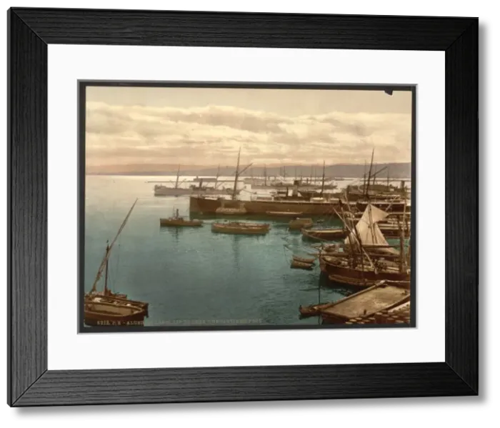 Framed Print : Harbor by moonlight, I, Algiers, Algeria Framed Print : Harbor by moonlight, I, Algiers, Algeria