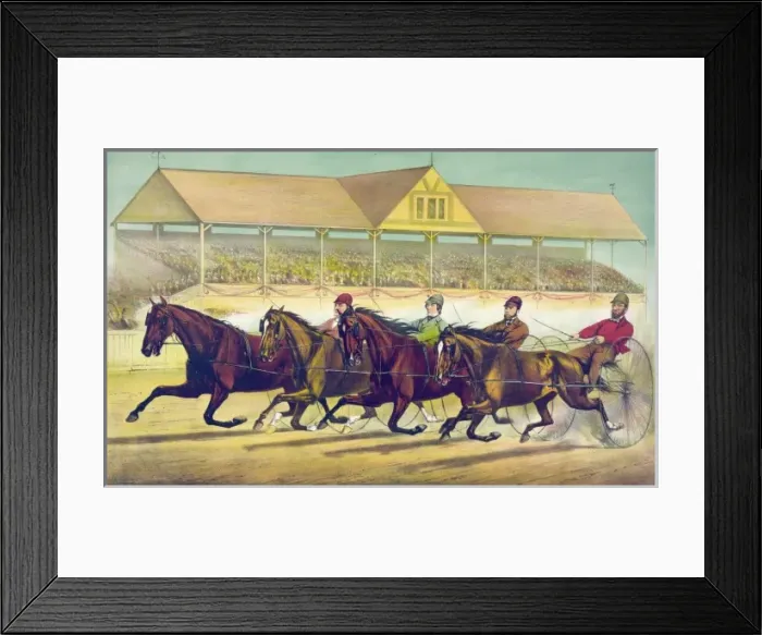 Framed Print : Fast trotters on a fast track Framed Print : Fast trotters on a fast track