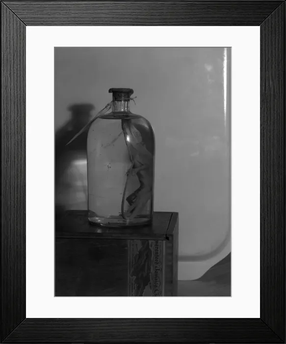 Framed Print : Interior of Louis Kentners house Framed Print : Interior of Louis Kentners house