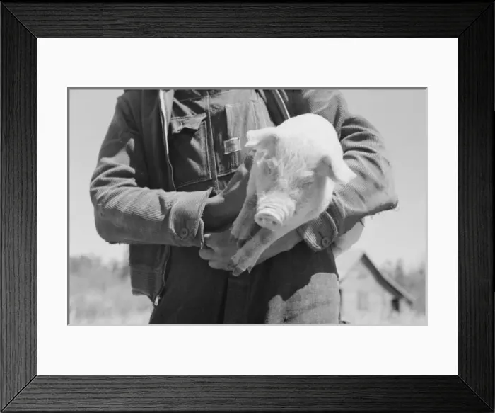 Framed Print : Untitled. Date between 1935 and 1942 Framed Print : Untitled. Date between 1935 and 1942
