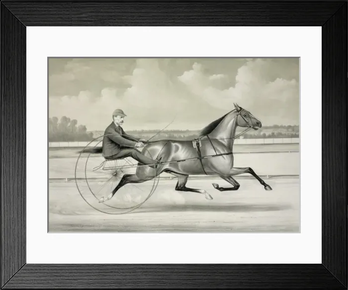 Framed Print : The famous trotter Majolica, by Bonners Startle: Driven by Framed Print : The famous trotter Majolica, by Bonners Startle: Driven by