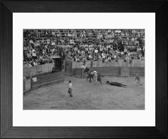 Framed Print : The end, bullfight, Matomoros, Mexico Framed Print : The end, bullfight, Matomoros, Mexico