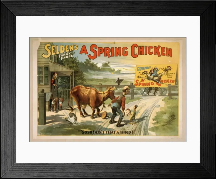 Framed Print : Seldens funny farce, A spring chicken Framed Print : Seldens funny farce, A spring chicken