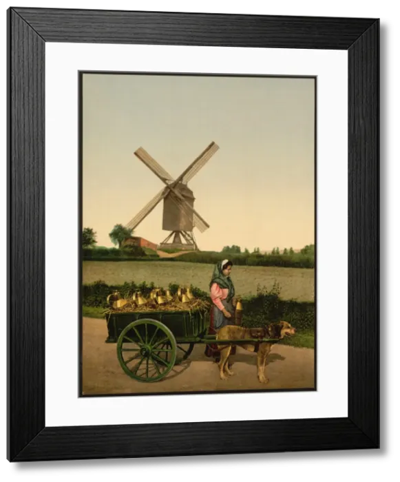 Framed Print : Milksellers, Brussels, Belgium Framed Print : Milksellers, Brussels, Belgium