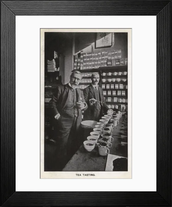 Framed Print : Tea Tasting at Matheson, McClaren & Co. Edinburgh Framed Print : Tea Tasting at Matheson, McClaren & Co. Edinburgh