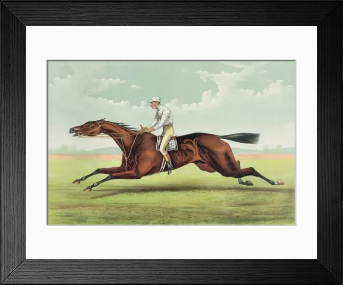 Framed Print : Foxhall: By King Alfonso, dam Jamaica, by Lexington Framed Print : Foxhall: By King Alfonso, dam Jamaica, by Lexington