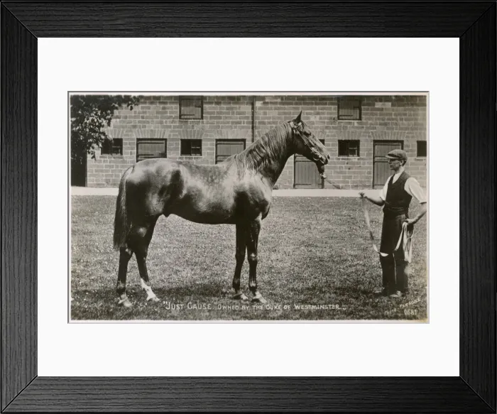 Framed Print : Racehorse Just Cause owned by the Duke of Westminster Framed Print : Racehorse Just Cause owned by the Duke of Westminster