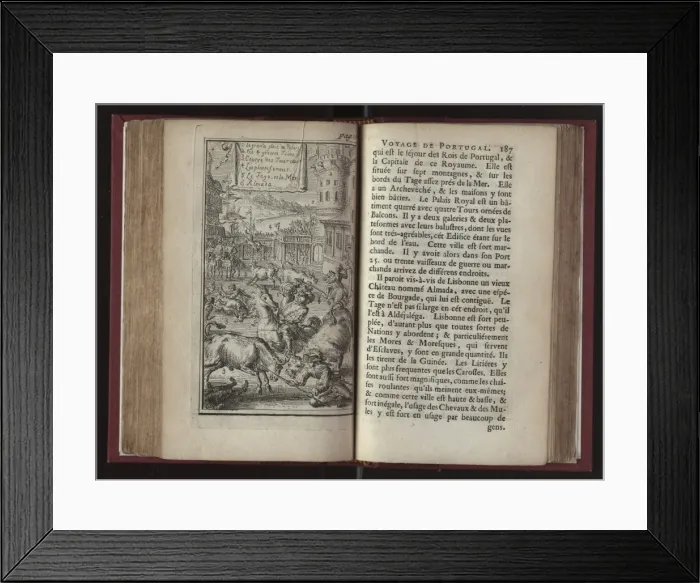 Framed Print : Portuguese bullfight Framed Print : Portuguese bullfight