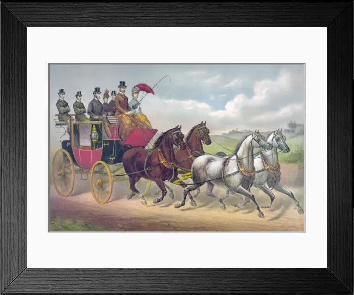 Framed Print : Four in hand Framed Print : Four in hand