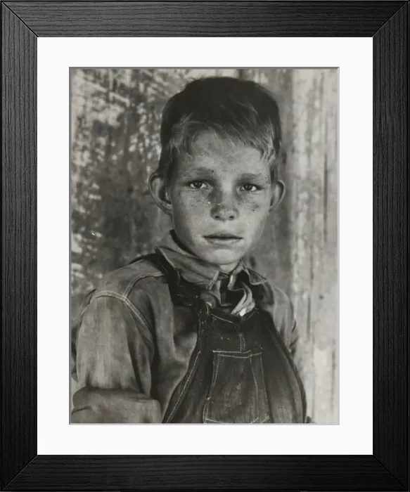 Framed Print : Twelve year old son of a cotton sharecropper near Cleveland Framed Print : Twelve year old son of a cotton sharecropper near Cleveland