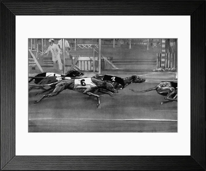 Framed Print : Greyhound racing 1927 Framed Print : Greyhound racing 1927