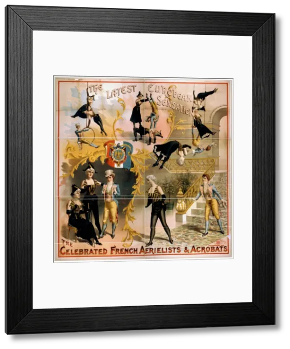 Framed Print : The celebrated French aerielists sic & acrobats the latest E Framed Print : The celebrated French aerielists sic & acrobats the latest E