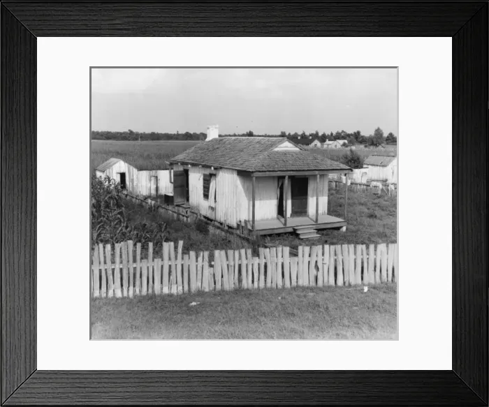 Framed Print : Cabin of sugarcane worker. Bayou La Fourche, Louisiana Framed Print : Cabin of sugarcane worker. Bayou La Fourche, Louisiana