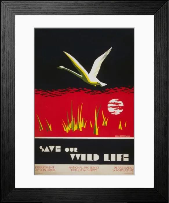 Framed Print : Save our wild life Framed Print : Save our wild life