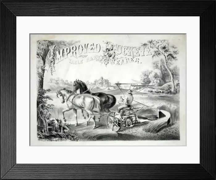 Framed Print : Improved buckeye, with table rake reaper Framed Print : Improved buckeye, with table rake reaper