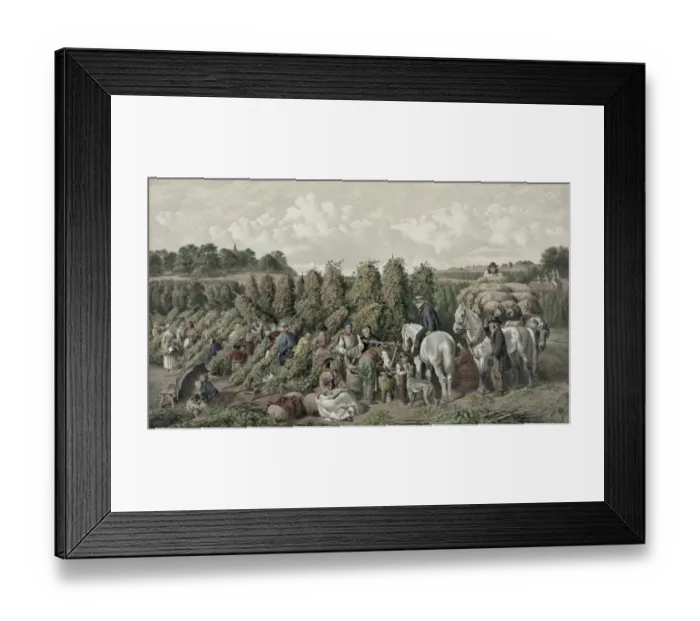 Framed Print : Hop - picking Framed Print : Hop - picking
