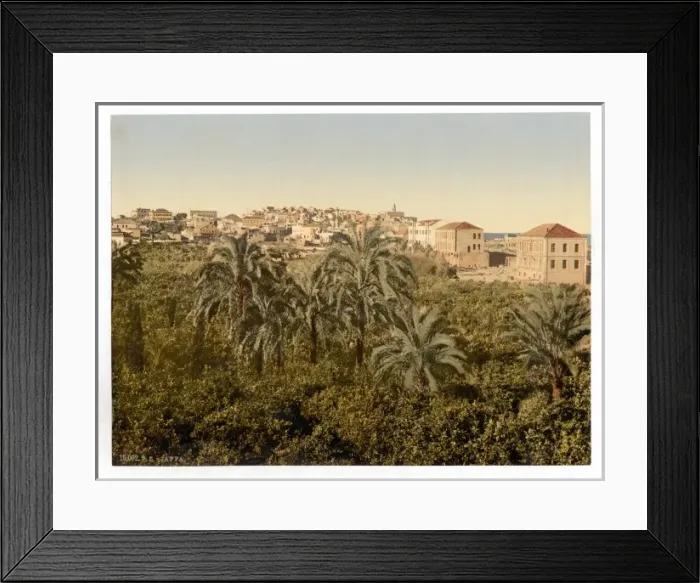 Framed Print : From the garden, Jaffa, Holy Land, (i. e. Israel) Framed Print : From the garden, Jaffa, Holy Land, (i. e. Israel)