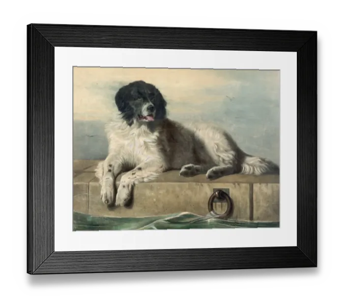Framed Print : A distinguished member of the Humane Society Framed Print : A distinguished member of the Humane Society
