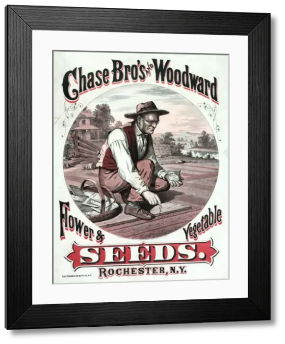 Framed Print : Chase Bros and Woodward. Flower & vegetable seeds Framed Print : Chase Bros and Woodward. Flower & vegetable seeds
