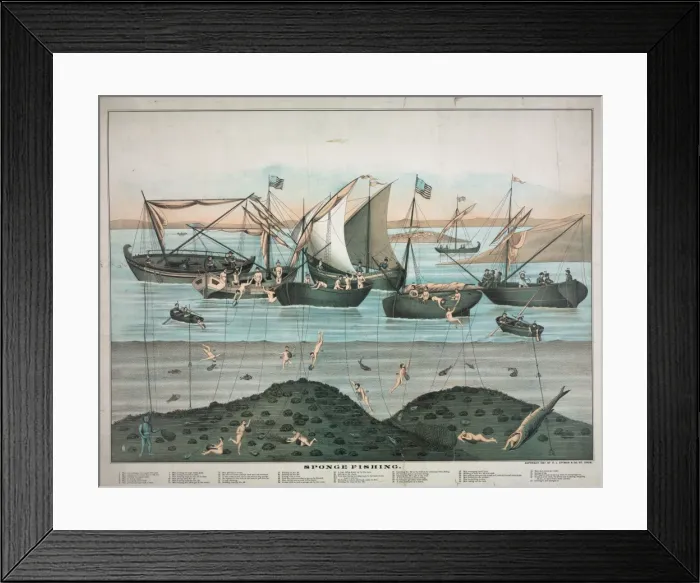 Framed Print : Sponge fishing Framed Print : Sponge fishing