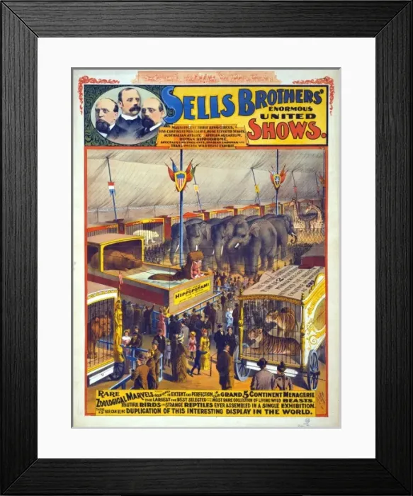Framed Print : Sells Brothers enormous united shows - Rare zoological marv Framed Print : Sells Brothers enormous united shows - Rare zoological marv