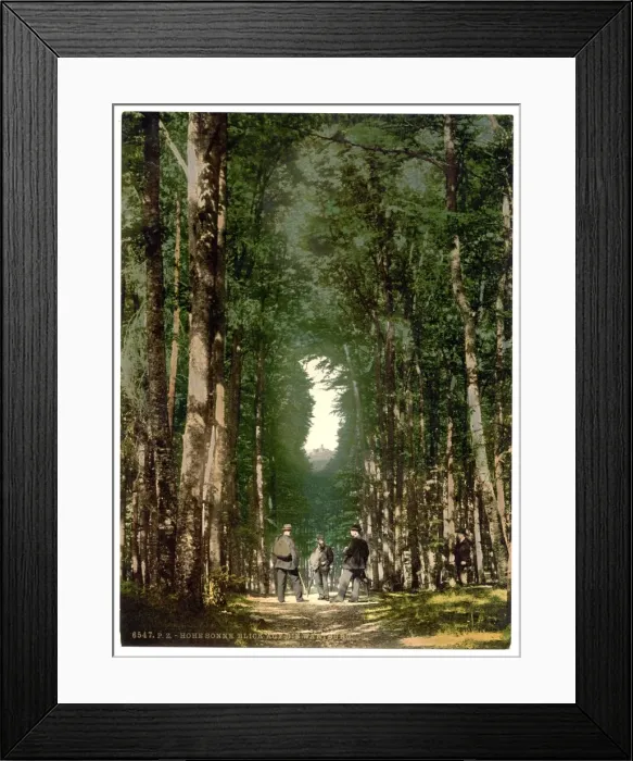 Framed Print : Hohesonne and view of the Wartburg, Wartburg, Thuringia, Ger Framed Print : Hohesonne and view of the Wartburg, Wartburg, Thuringia, Ger