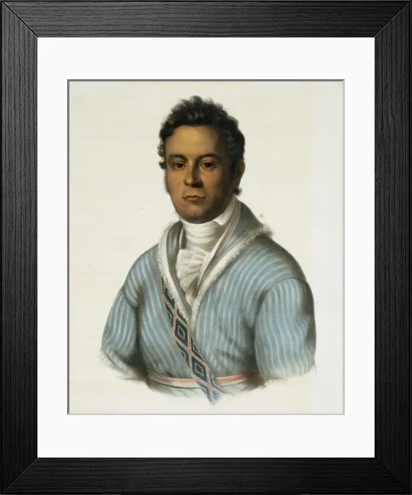 Framed Print : David Vann. A Cherokee chief Framed Print : David Vann. A Cherokee chief