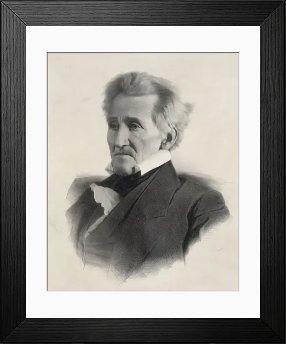 Framed Print : Andrew Jackson Framed Print : Andrew Jackson