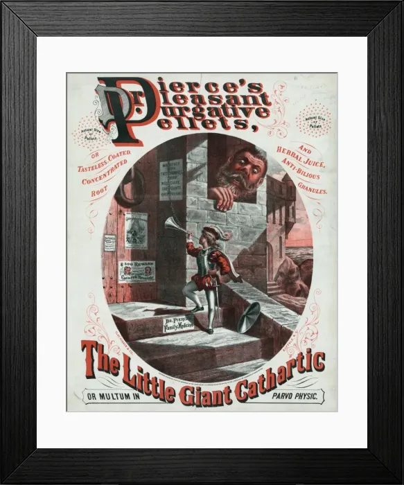 Framed Print : Dr. Pierses pleasant purgative pellets Framed Print : Dr. Pierses pleasant purgative pellets