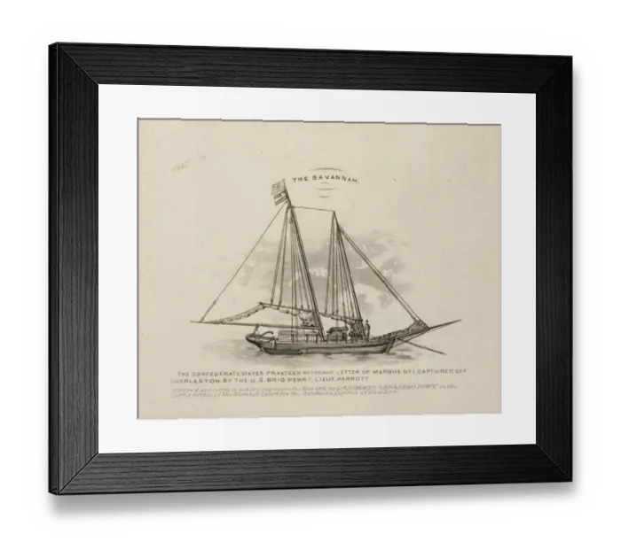 Framed Print : The Savannah Framed Print : The Savannah