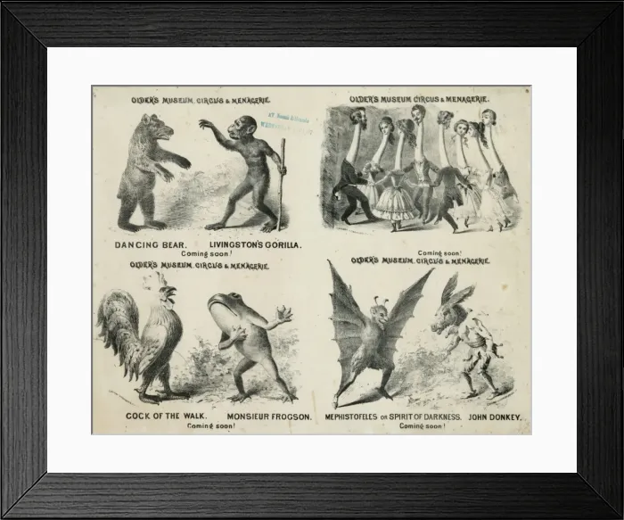 Framed Print : Olders museum, circus & menagerie Framed Print : Olders museum, circus & menagerie