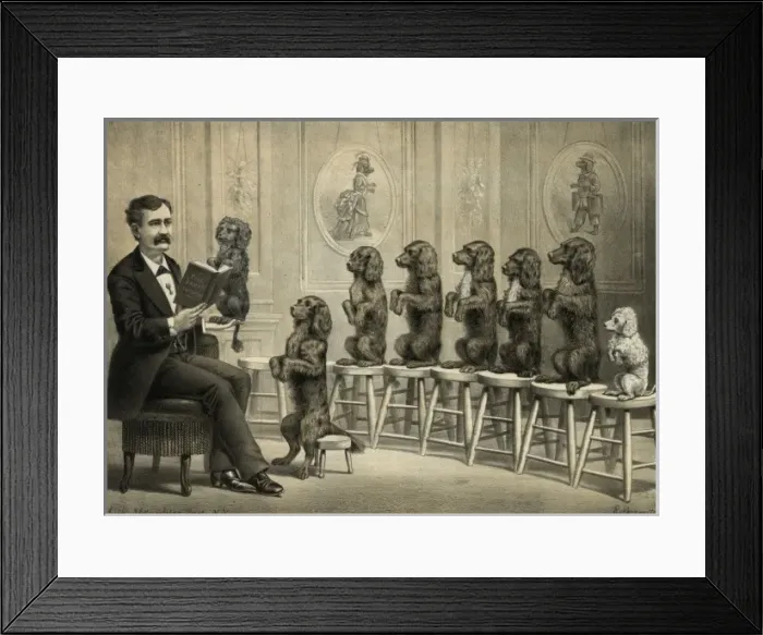 Framed Print : Educated dogs Framed Print : Educated dogs