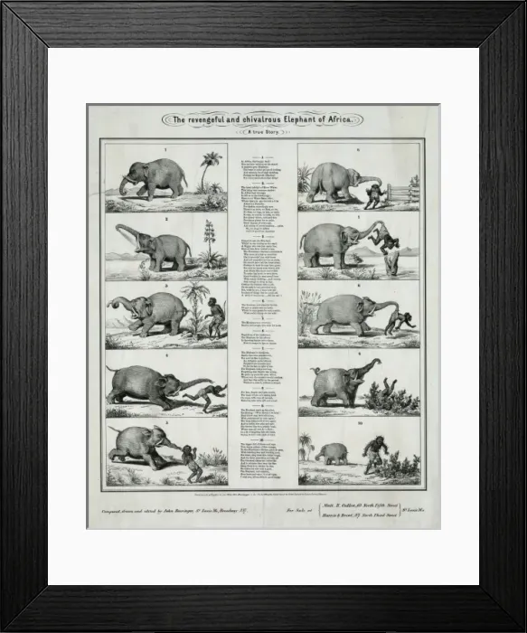Framed Print : The revengeful and chivalrous elephant of Africa Framed Print : The revengeful and chivalrous elephant of Africa