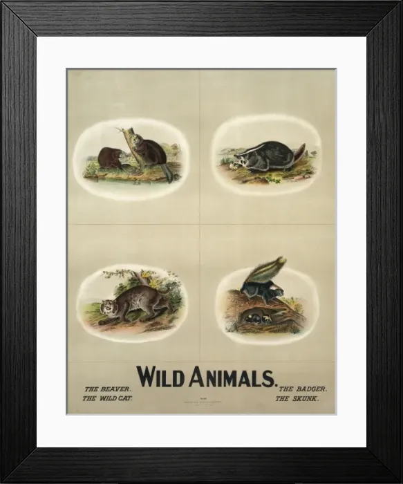 Framed Print : Wild animals Framed Print : Wild animals