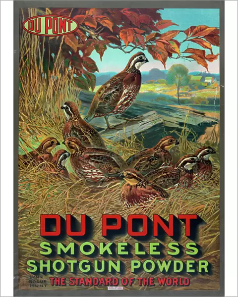 Du Pont smokeless shotgun powder - the standard of the world