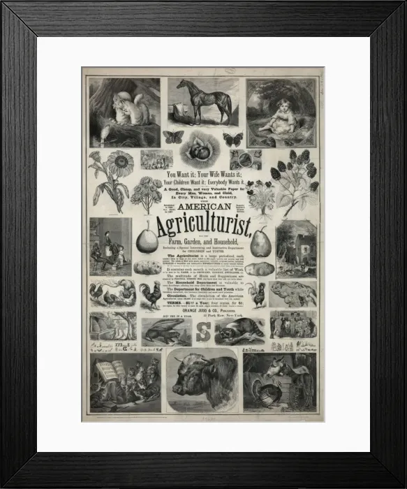 Framed Print : American agriculturist. Farm, garden, and household Framed Print : American agriculturist. Farm, garden, and household