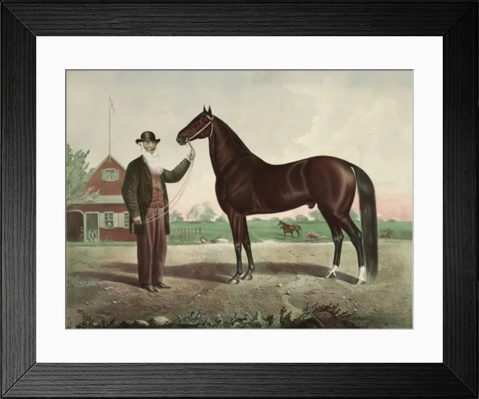 Framed Print : Hambletonian Framed Print : Hambletonian