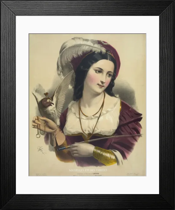 Framed Print : Le faucon docile Framed Print : Le faucon docile