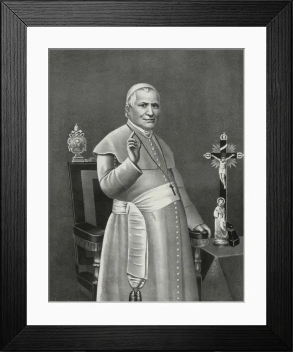 Framed Print : Pius IX Framed Print : Pius IX