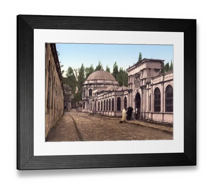 Framed Print : A section of Constantinople, Turkey Framed Print : A section of Constantinople, Turkey